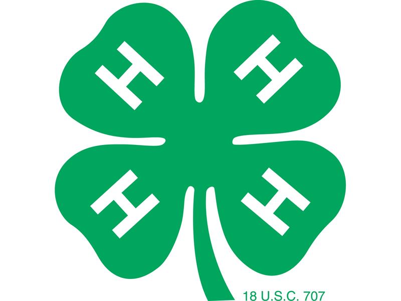 Logo for 2022 Hampden County 4H/Youth Fair