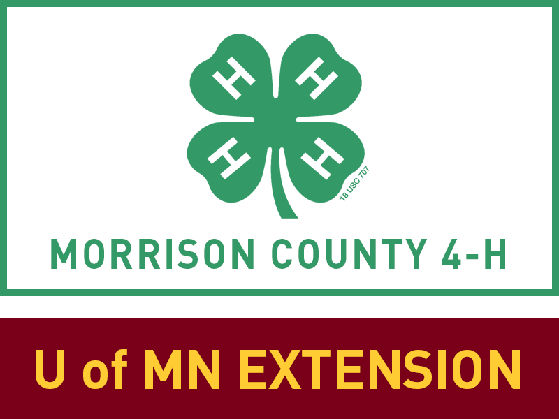 Logo for 2022 Morrison County Fair