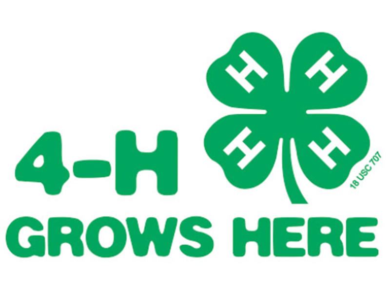 Logo for 2022 Leavenworth County Fair