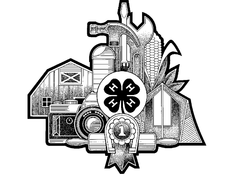 Logo for 2022 Teton County Fair