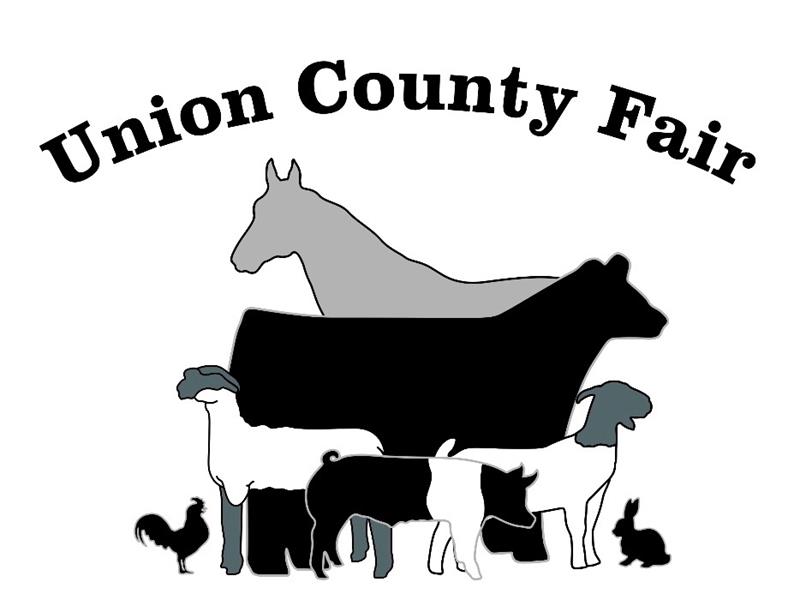 Logo for 2022 Union County Fair