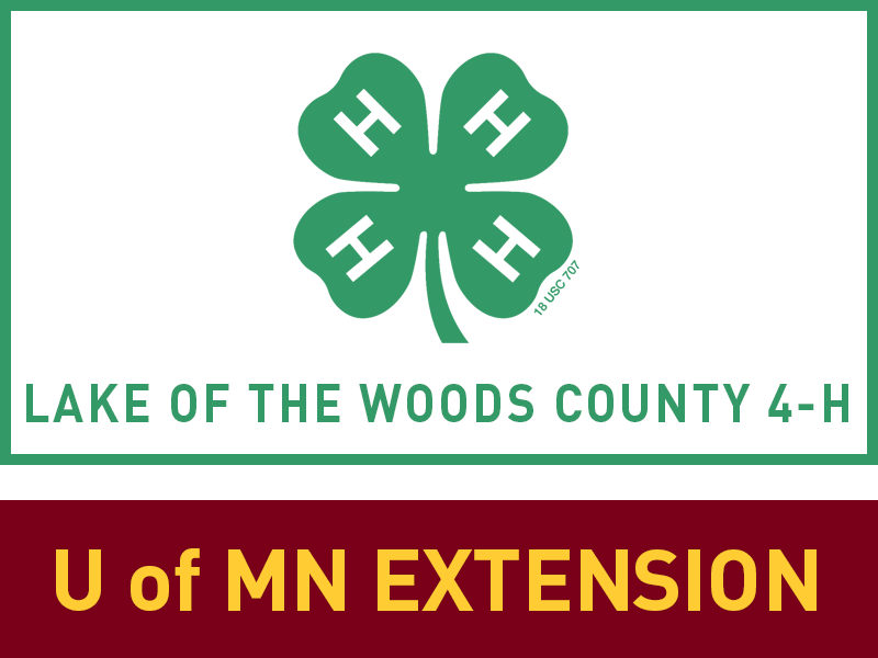 Logo for 2022 Lake of the Woods County Fair