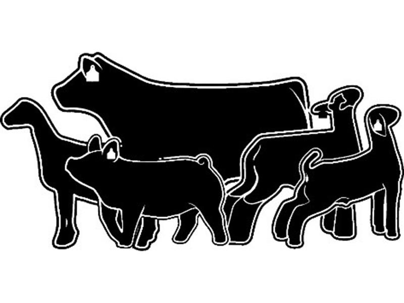 Logo for 2023 Sanpete County Jr. Livestock Show