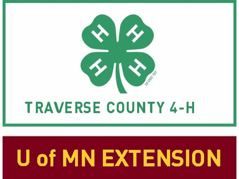 Logo for 2022 Traverse County Fair