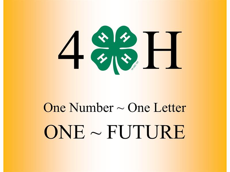 Logo for 2022 Musselshell & Golden Valley 4-H and Youth Fair