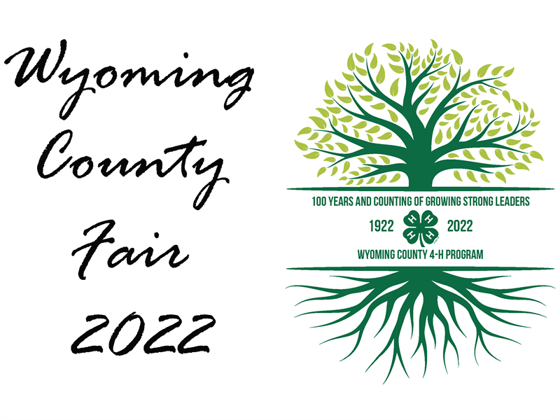 Logo for 2022 Wyoming County Fair