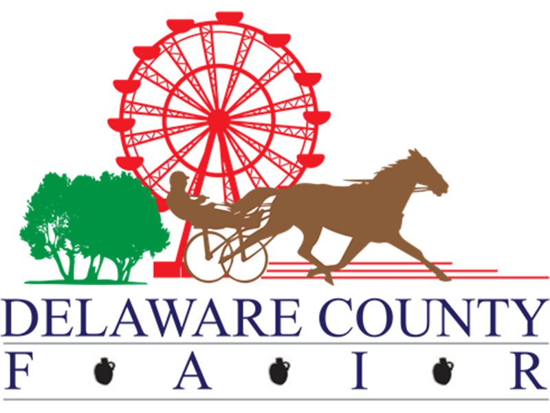 Logo for 2022 Delaware County Jr. Fair