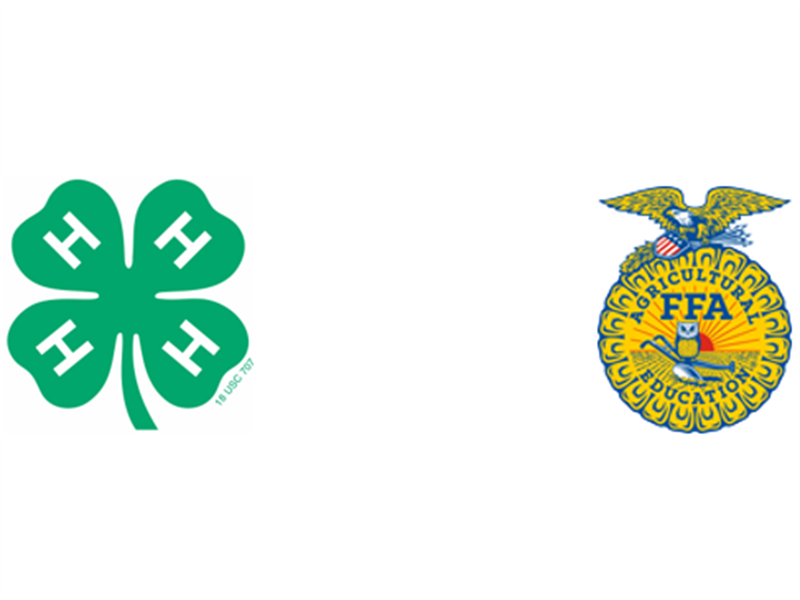 Logo for 2022 Chouteau County 4-H and FFA Fair