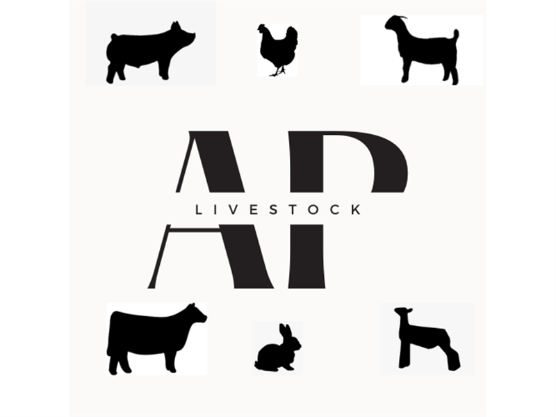 Logo for 2023 Ascension Parish Livestock Show
