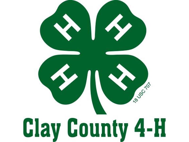 Logo for 2023 Clay County 4-H/FFA Fair