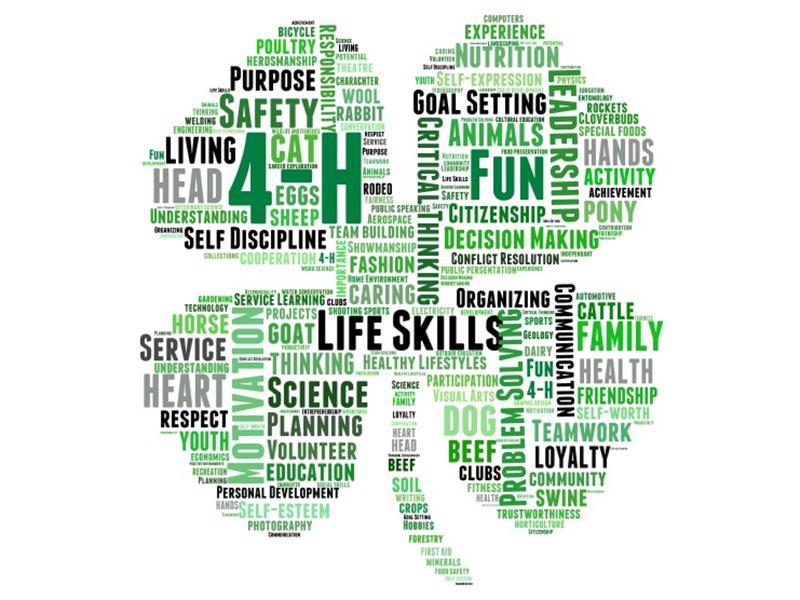 Logo for 2023 Brookings County 4-H