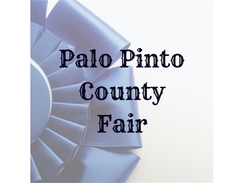 Logo for 2023 Palo Pinto County Fair