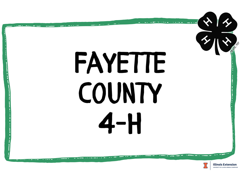 Logo for 2023 Fayette County Fair
