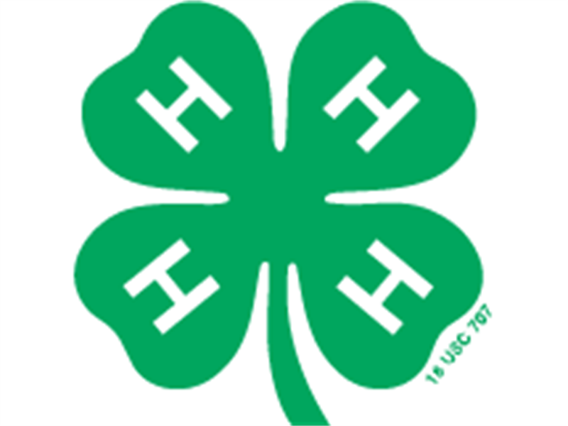 Logo for 2023 Brown County 4-H Fair