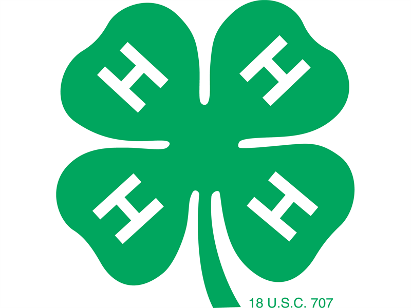Logo for 2023 Ripley County Indiana 4-H Fair