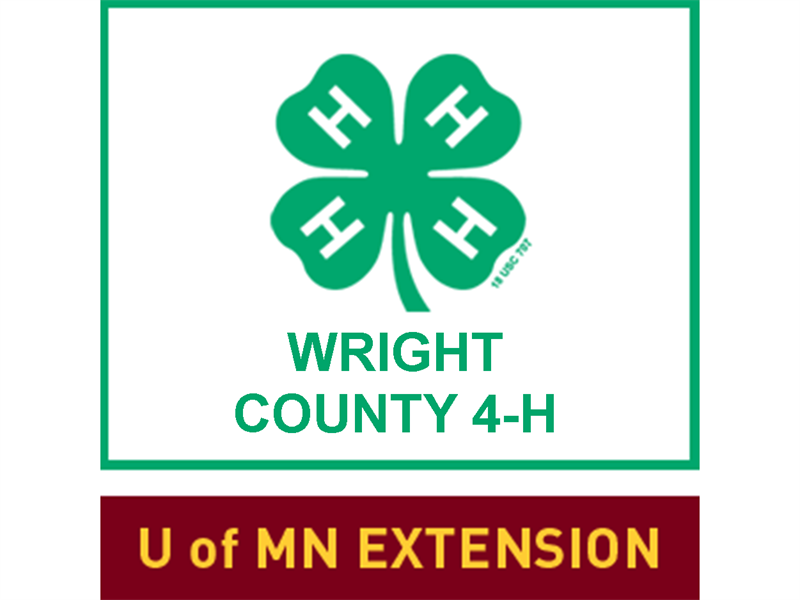 Logo for 2023 Wright County Fair