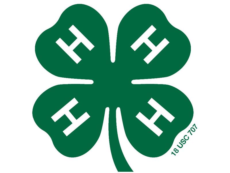 Logo for 2023 Monroe County 4-H Fair