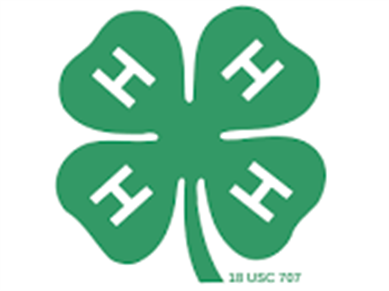Logo for 2023 Utah State 4-H Fair