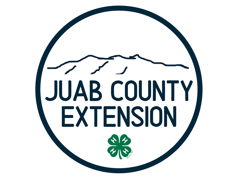 Logo for 2023 Juab  County 4-H Fair