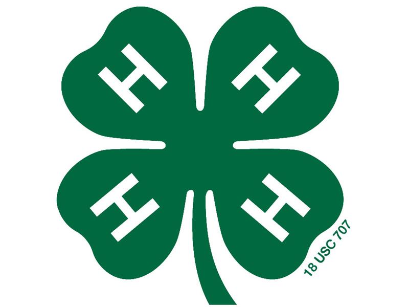 Logo for 2023 Sevier County 4-H Fair