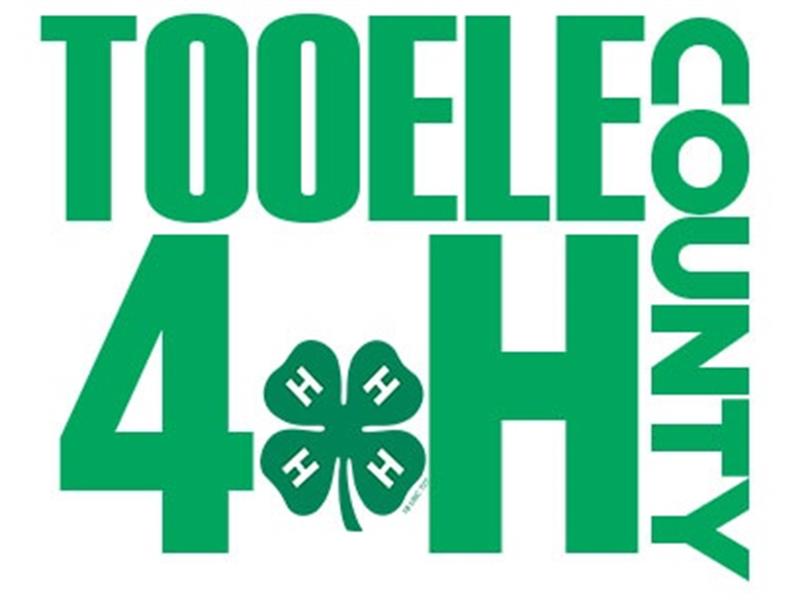 Logo for 2023 Tooele County 4-H Fair