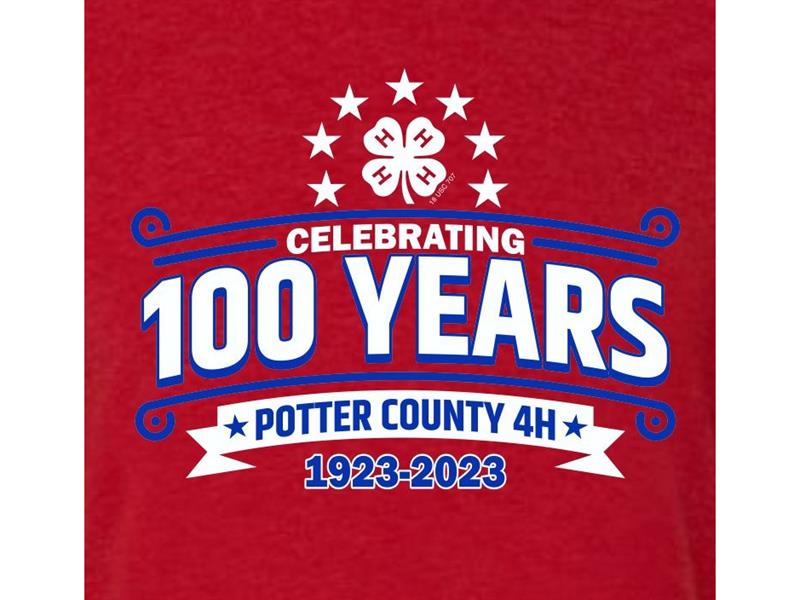 Logo for 2023  Potter County Fair