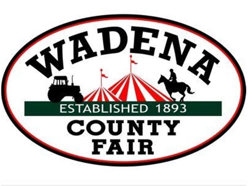Logo for 2023 Wadena County Fair Open Class