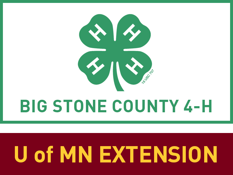 Logo for 2023 Big Stone County Fair