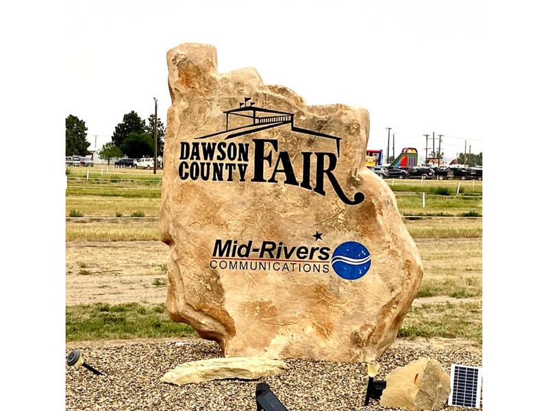 Logo for Dawson County Fair 2023