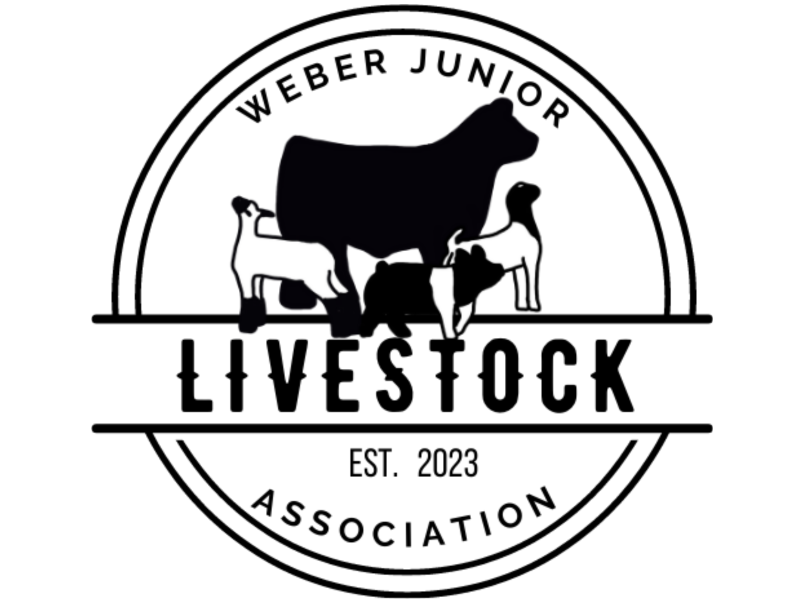 Logo for Weber Junior Livestock Show