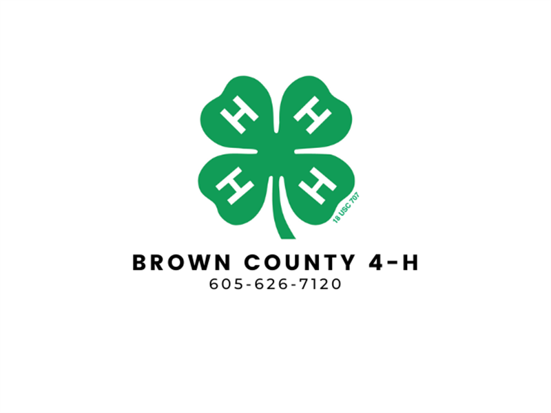 Logo for 2023 Brown County 4-H Horse Show