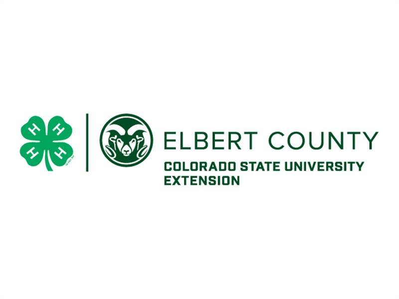 Logo for 2023 Elbert County Fair