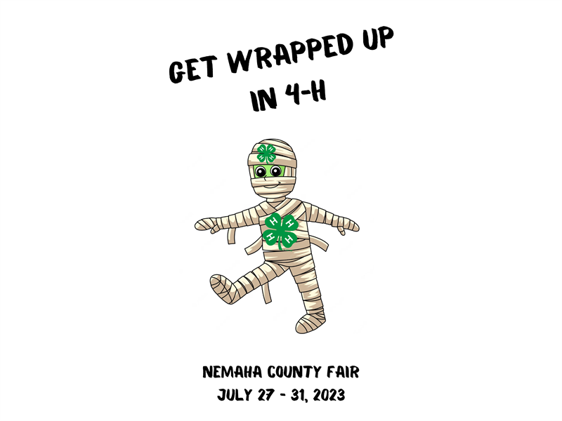 Logo for 2023 Nemaha County Fair