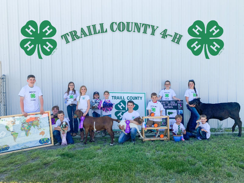 Logo for 2023 Traill County 4-H Achievement Days