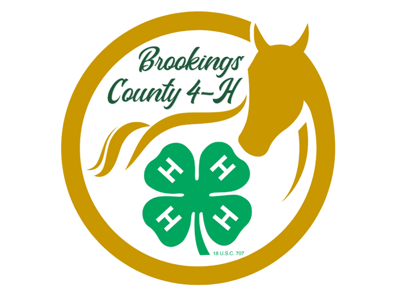 Logo for 2023 Brookings County Horse Show