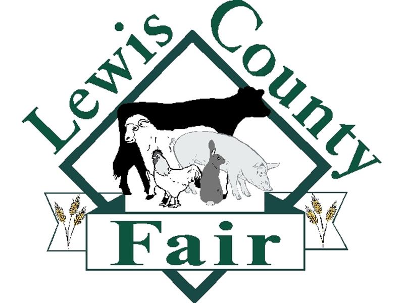 Logo for 2023 Lewis County Fair