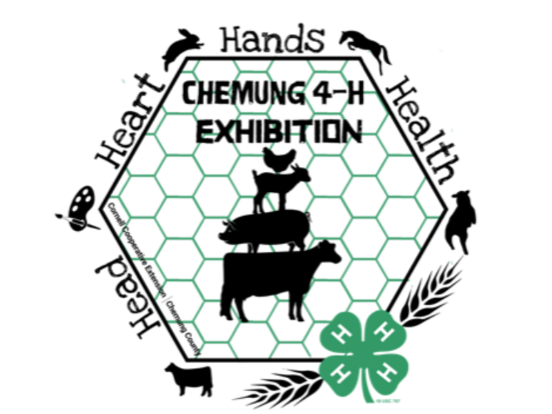 Logo for 2023 Chemung County 4-H Exhibition