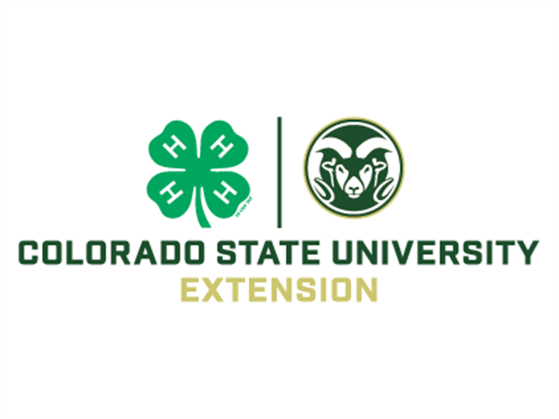 Logo for 2023 Colorado 4-H Training Fair