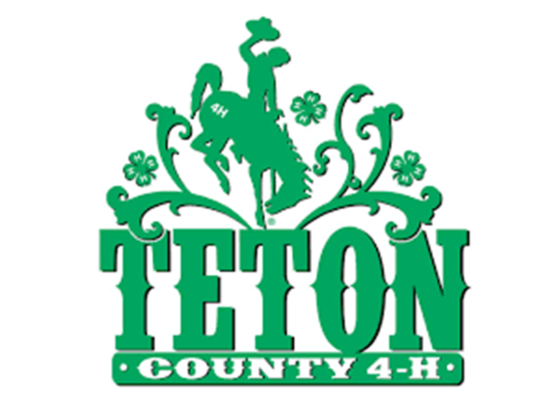 Logo for 2023 Teton County Fair