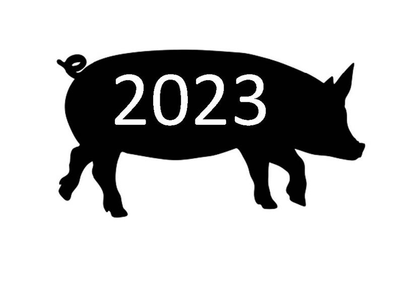 Logo for 2023 Santa Fe County Fair