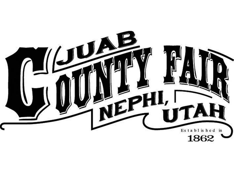 Logo for 2023 Juab County Open Fair