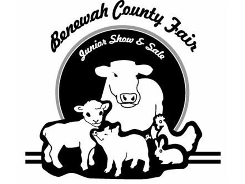Logo for 2024 Junior Show and Sale