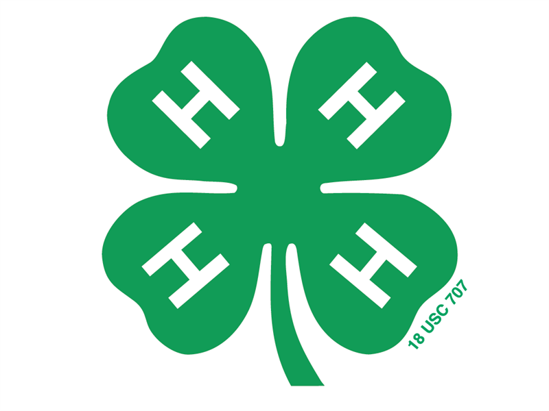 Logo for 2024 Hamlin County Achievement Days