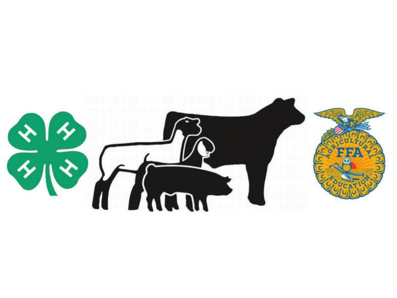 Logo for 2024 Wood County 4-H and FFA Summer Showcase