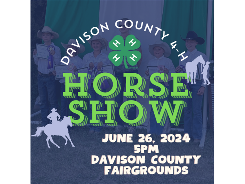 Logo for 2024 Davison County Horse Show