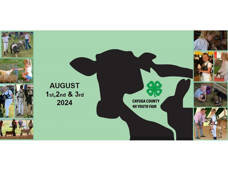 Logo for 2024 Cayuga County 4-H Youth Fair
