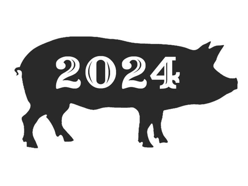 Logo for 2024 Santa Fe County Fair