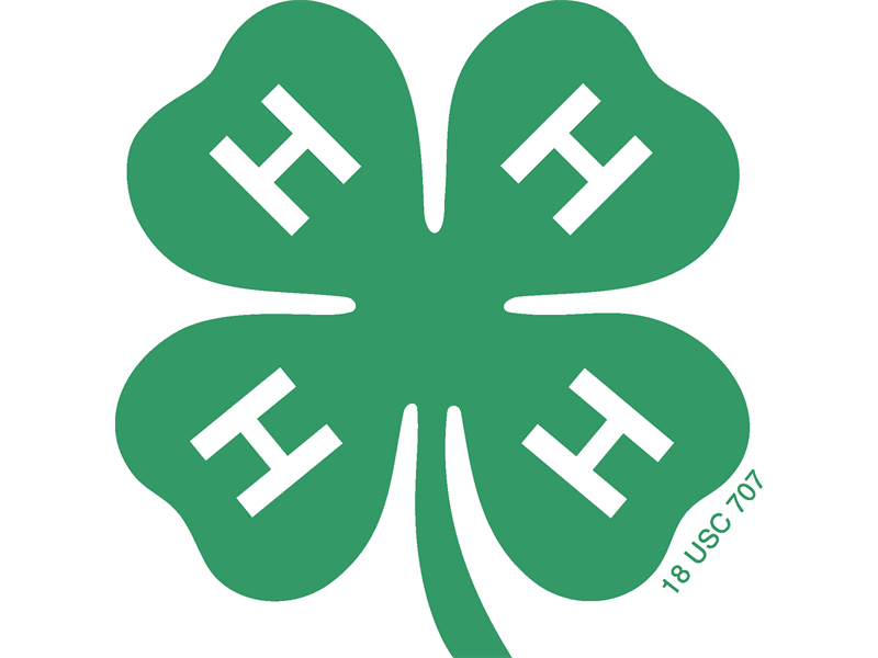 Logo for 2026 Woodford County 4-H Show