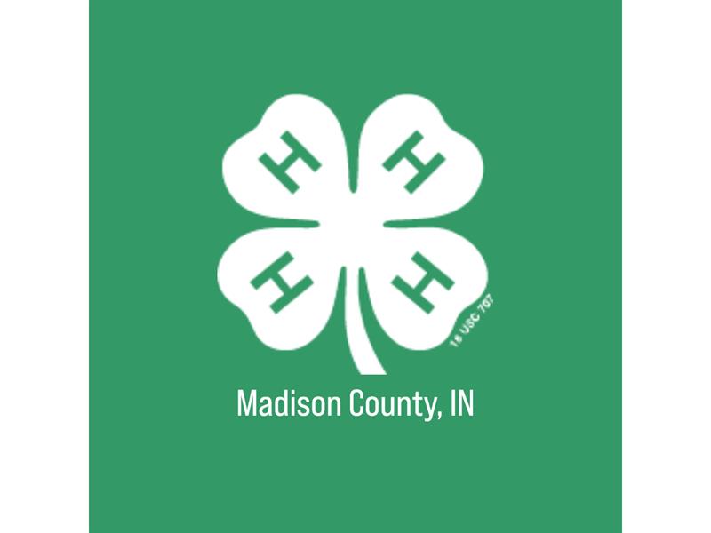 Logo for 2026 Madison County Fair