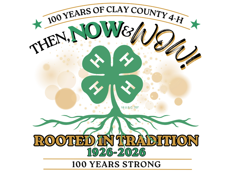 Logo for 2026 Clay County 4-H Fair